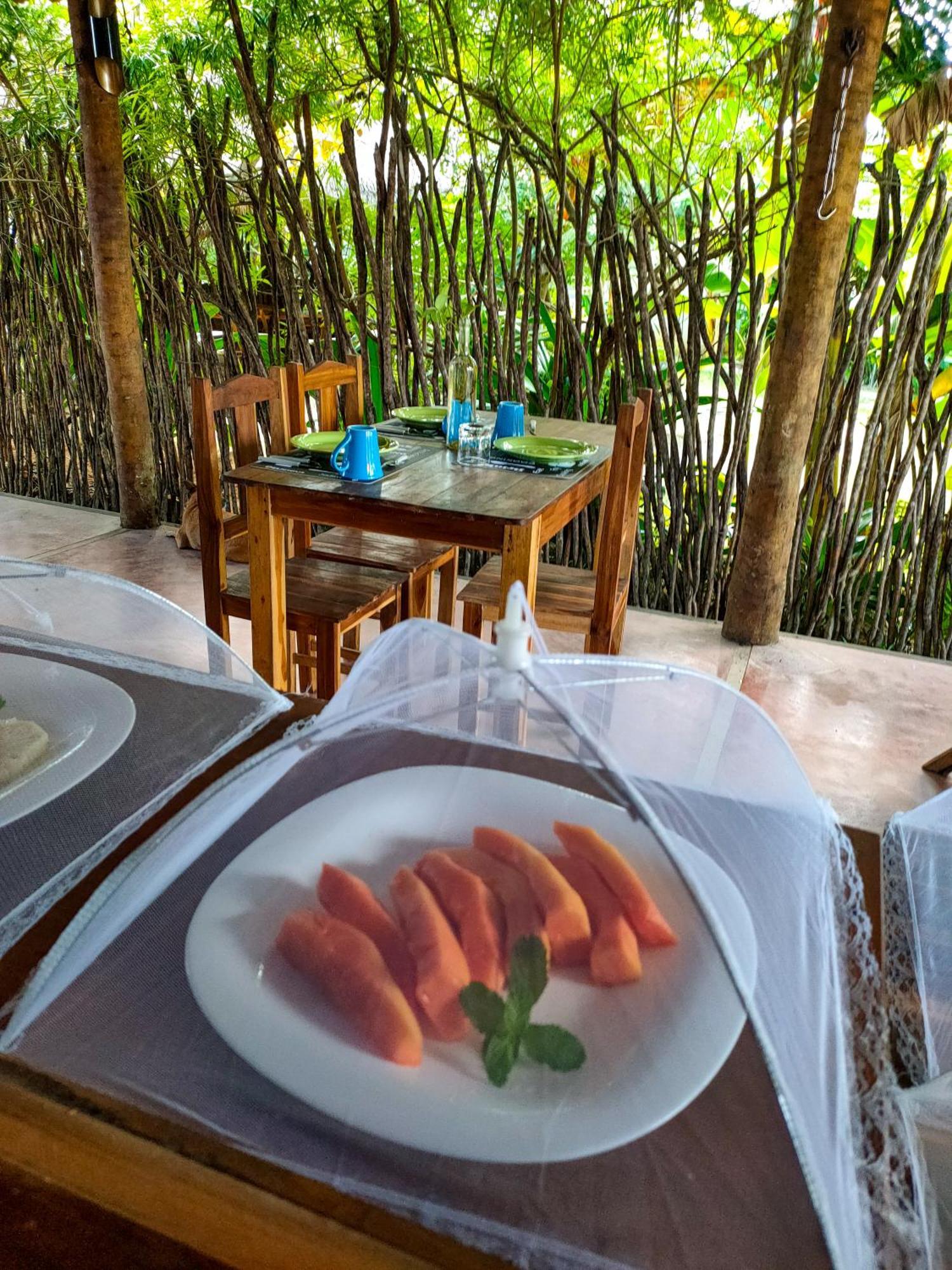 Icarai Kite House Hotel Exterior photo